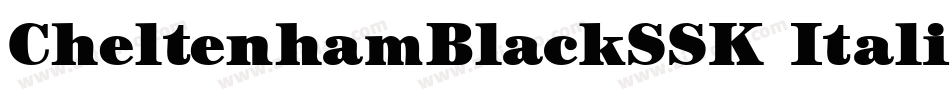 CheltenhamBlackSSK Italic字体转换